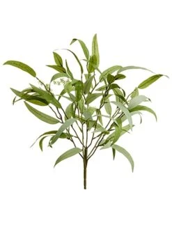 22″ Eucalyptus BusH X 7 Green Gray
