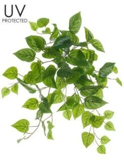 19″ UV Protected Philodendron Bush Green
