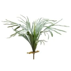 30″ Staghorn Fern Bush X 15 Green