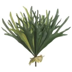 19″ Staghorn Fern Bush X16 Green Frosted