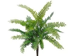 18″ Fish Bone Fern Bush Green