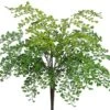 19″ Maidenhair Fern Bush Green