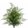 24″ Lace Fern Bush Green