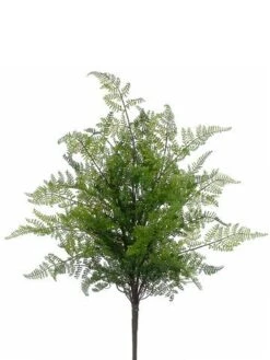 24″ Lace Fern Bush Green