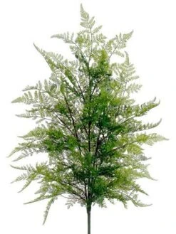 36″ Lace Fern Bush Green