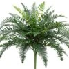 24″ River Fern BusH X 35