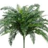 29″ River Fern Bush X48