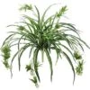 34″ Spider Plant X80 Green White