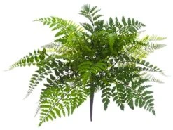 17″ Mixed Fern Bush Green