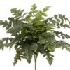 21″ Royal Fern Bush X5 Green
