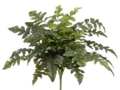 21″ Royal Fern Bush X5 Green