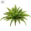 23″ UV Protected Boston Fern Bush X49 Green