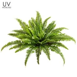 23″ UV Protected Boston Fern Bush X49 Green