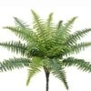 17″ Boston Fern With 15 Leaves Green