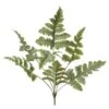 27″ Blue Star Fern Bush Green