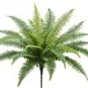 26″ Boston Fern With 25 Leaves Green
