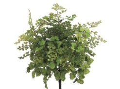 16″ Maidenhair Fern Bush Light Green