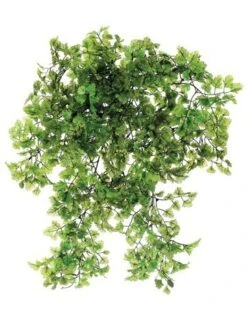 26″ Maidenhair Fern Hanging Bush Light Green