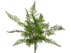 15″ Leather Fern Bush Green
