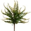 16″ Button Fern Bush Green