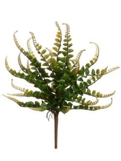 16″ Button Fern Bush Green