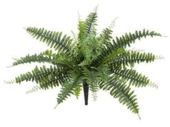 18″ UV Protected Boston Fern Bush Green