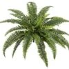 26″ UV Protected Boston Fern Bush X39 Green