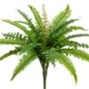 16″ Boston Fern BusH X 19