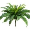 22″ Boston Fern BusH X 32