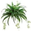 32″ Mixed Boston Fern/Spider Bush X48 Green