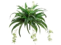 32″ Mixed Boston Fern/Spider Bush X48 Green