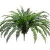 41″ Fishtail Fern Bush X60 Green