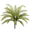 17″ Boston Fern Bush Green