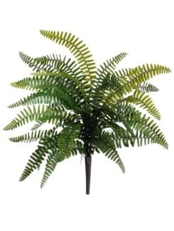19″ Boston Fern Bush Green