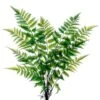 27″ Forest Fern Bush X11 Green
