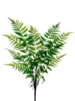 27″ Forest Fern Bush X11 Green