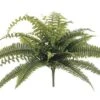 28″ Dragon Fern Bush W/41 Leaves Green