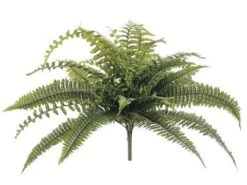 28″ Dragon Fern Bush W/41 Leaves Green