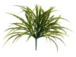 13″ Grass Bush Green Burgundy