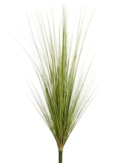 40″ Onion Grass Bush Green