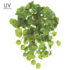 21″ UV Protected Geranium Leaf Bush Variegated