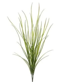 42″ Tall Willow Grass Bush with 46 Leaves Green