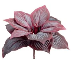 7″ Hosta Leaf Bush Burgundy Frosted