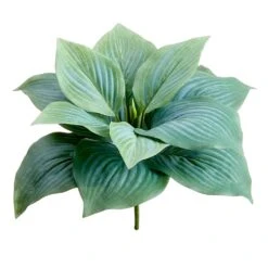7″ Hosta Leaf Bush Green Frosted