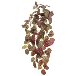 22″ Finttonia Hanging Bush x10 With 120 Leaves Red Green White