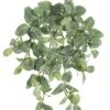 13″ Mini Fittonia Hanging Bush X9 W/120 Leaves Green White