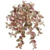 20″ Mini Fittonia Hanging Bush X15 With 267 Leavs Red Green White