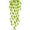 30.5″ Hops Hanging Bush X5 Green Cream