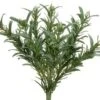 9″ Rosemary Bush X9 Green