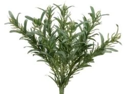 9″ Rosemary Bush X9 Green